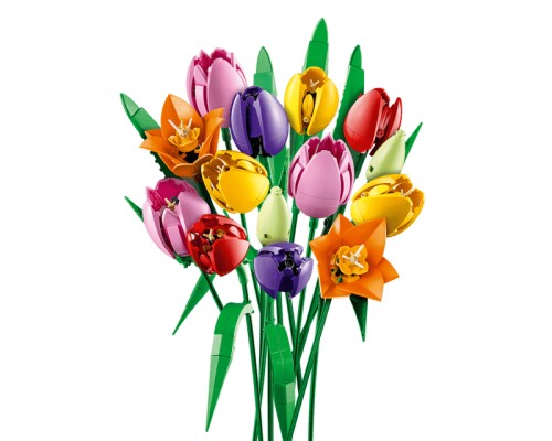 Ramo de Tulipanes