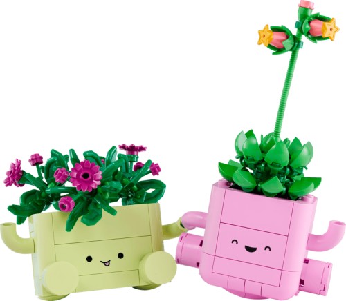 Plantas Bailarinas