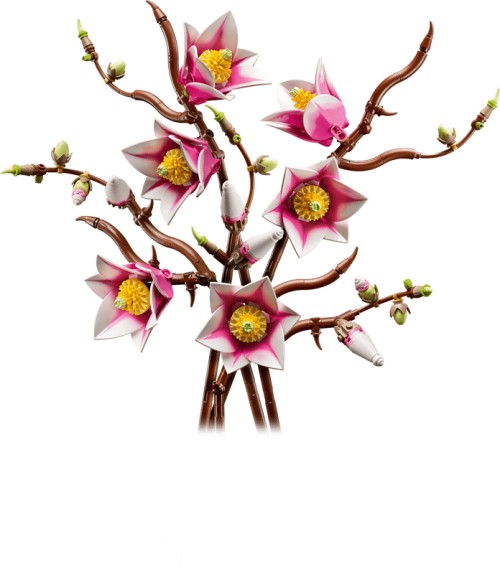 Ramas de Magnolia