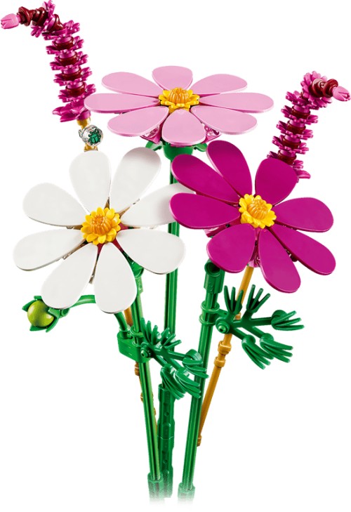 Flores de Cosmos