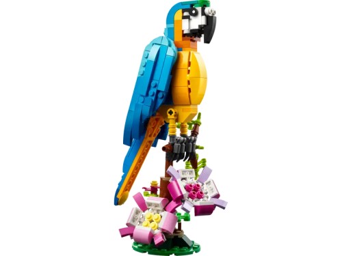 Loro Exótico