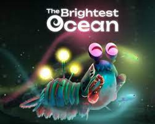 The Brightest Ocean