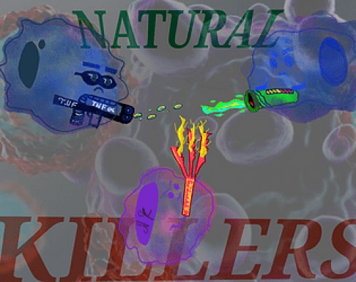 THE NATURAL KILLERS