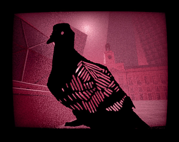 A TODAS LAS PALOMAS DE MADRID LES FALTAN DEDOS