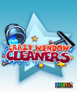 Crazy Window Cleaners
