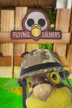 Flying Soldiers