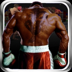 Virtual Boxing 3D