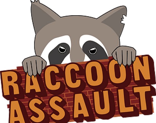 Raccoon Assault